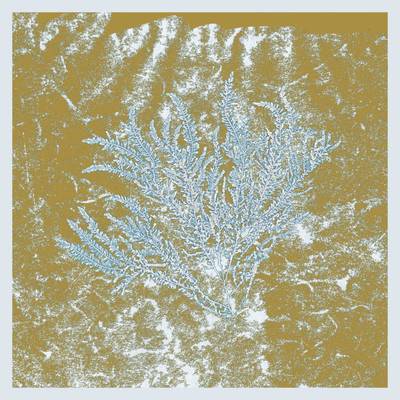 【USED・オリジナル】YAS-KAZ \"VIRGO INDIGO\" LP Used Original Yas-Kaz Virgo Indigo Lp 6b | eBay